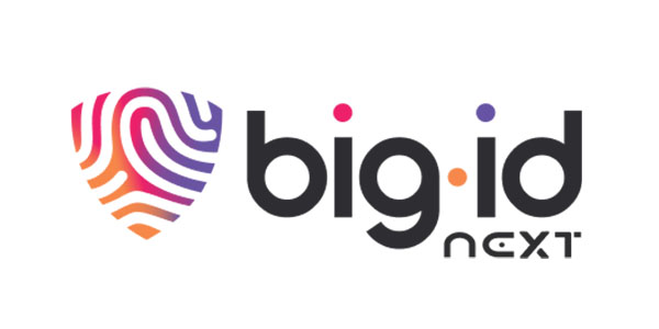 AISL_0009_BigID_Logo
