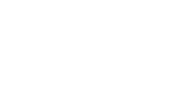 BlackDuck_Logo