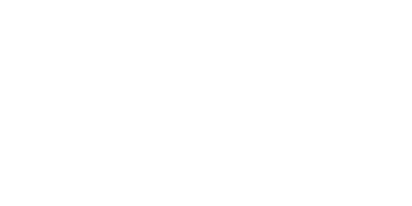 Concentric AI_Logo