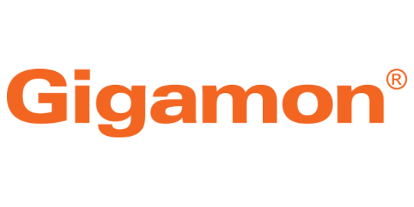 Gigamon