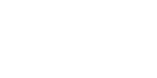 NetScout_Logo