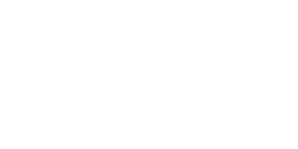 Endace_Logo_v2