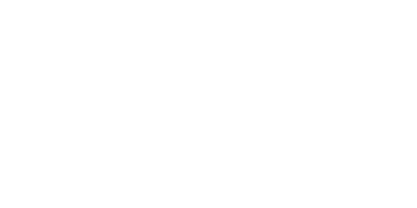 Mint_Logo_v2