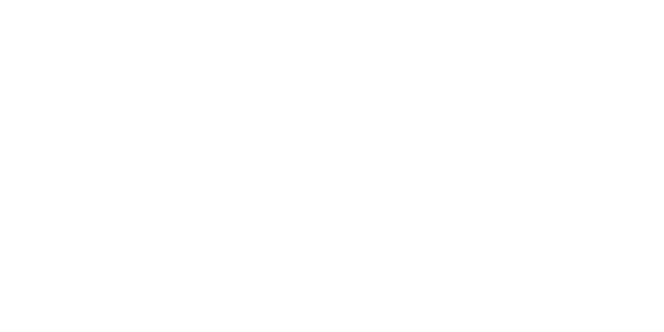 Stellarcyber_logobh