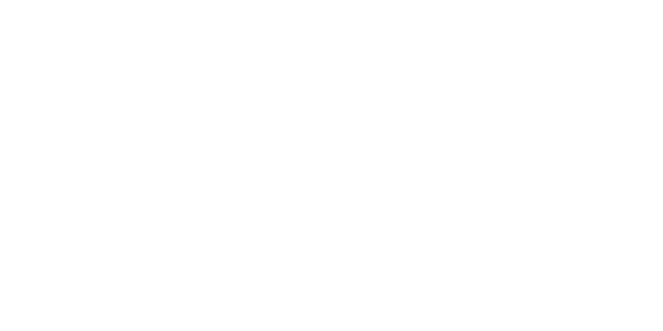 perpetualsystems_logo
