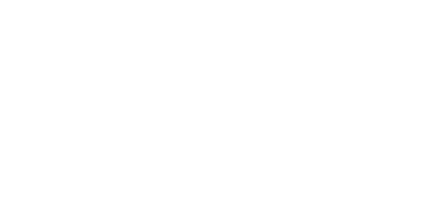 rapid_logo